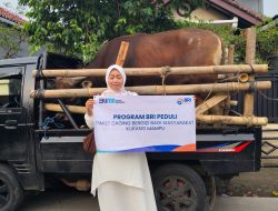 BRI Bogor Pajajaran Salurkan Bantuan Daging Bergizi Bagi Masyarakat di Momen Idul Adha 1446 H
